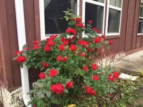 Keuka Lake Views And Hiking Hammondsport Exterior foto